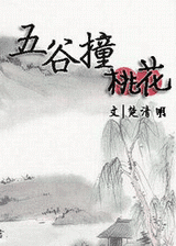 五谷撞桃花封面