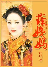 红楼之薛姨妈封面