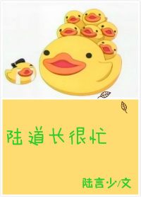 陆道长很忙封面