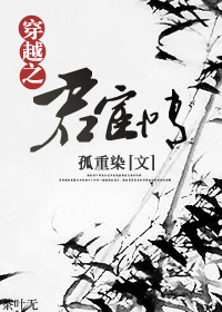 穿越之君宦情封面