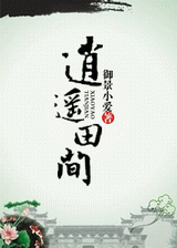 逍遥田间封面