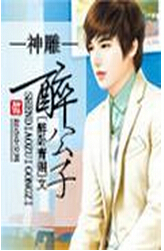 神雕醉公子封面