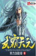 武霸天元封面