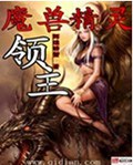 魔兽精灵领主封面