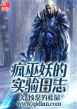疯巫妖的实验日志封面