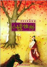 小妹挂帅封面
