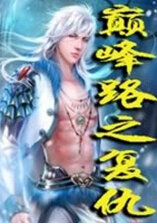 巅峰路之复仇封面
