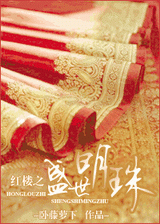 红楼之盛世明珠封面