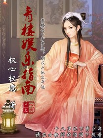 青楼娱乐指南封面