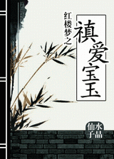 红楼梦之禛爱宝玉封面