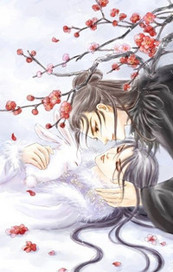 无颜如画封面