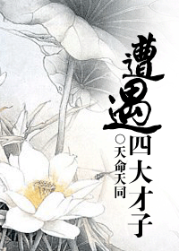 遭遇四大才子封面