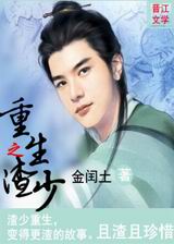 重生之渣少封面