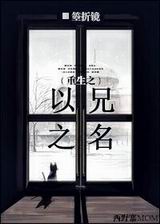 重生之以兄之名封面