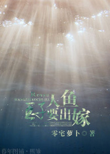 人鱼王子要出嫁封面