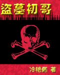 盗墓初哥封面