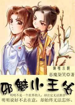 邪魅小王爷封面
