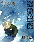 领养关系封面
