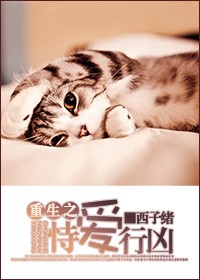 重生之恃爱行凶封面