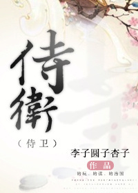 侍卫封面