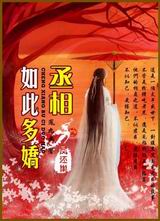 丞相如此多娇封面
