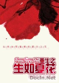 重生之生如夏花封面