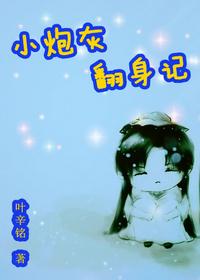 小炮灰翻身记封面