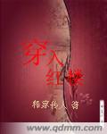 穿入红楼封面