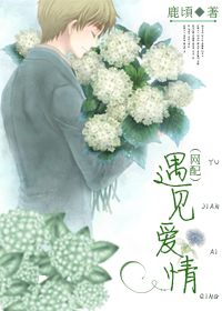 遇见爱情(网配)封面