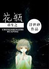 重生之花瓶封面