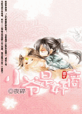 小爷是奸商封面