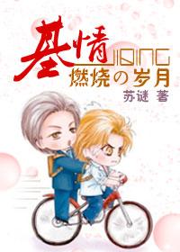 基情燃烧的岁月封面