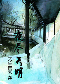 夜尽天明封面