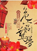 危宫惊梦封面