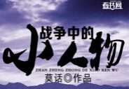 战争中的小人物封面
