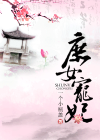 庶女宠妃封面
