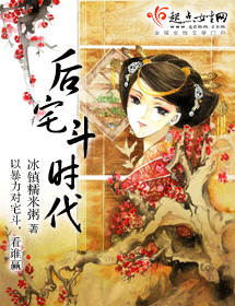 后宅斗时代封面