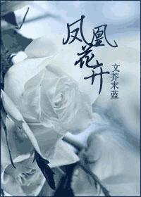 凤凰花开(网络版)封面