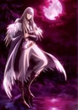 综漫之星屑封面