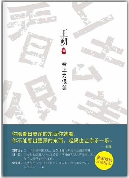 看上去很美封面