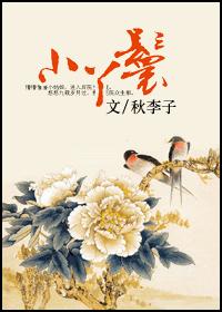 小丫鬟封面