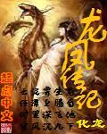 龙凤传记封面