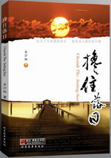 搀住落日封面