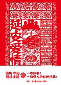 延安爱情封面