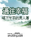 过往幸福封面