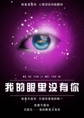 我的眼里没有你封面