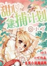 甜心逮捕计划封面