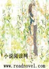 卧底小姐太难追封面