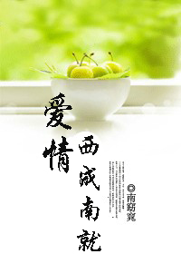 爱情 西成南就封面