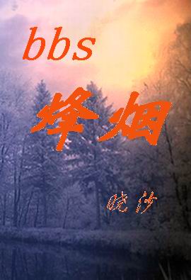 bbs烽烟(上部)封面